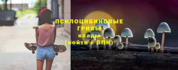 СК Барнаул