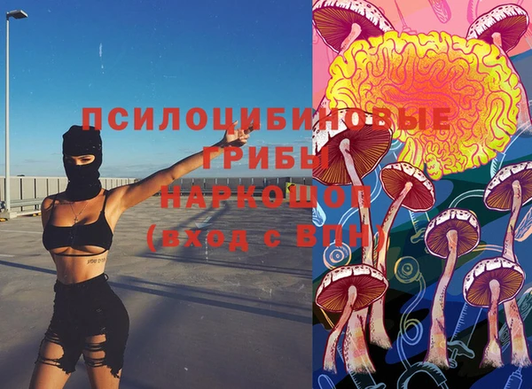 мдпв Нягань