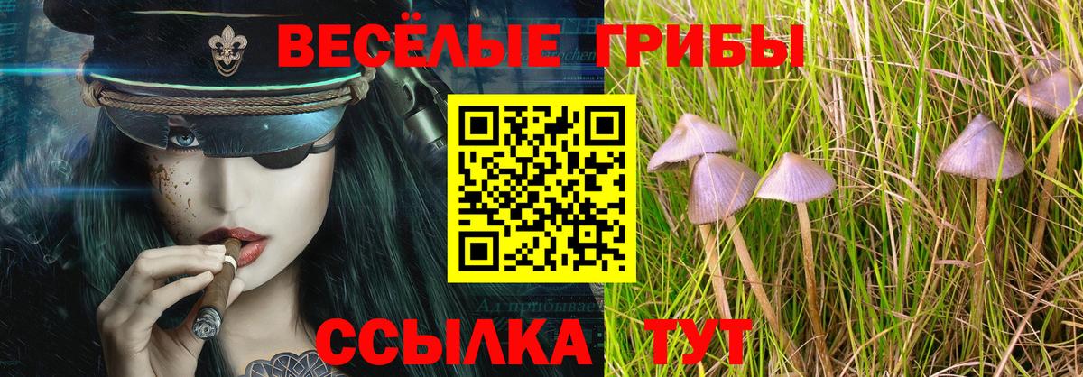 Псилоцибиновые грибы Psilocybine cubensis Лыткарино