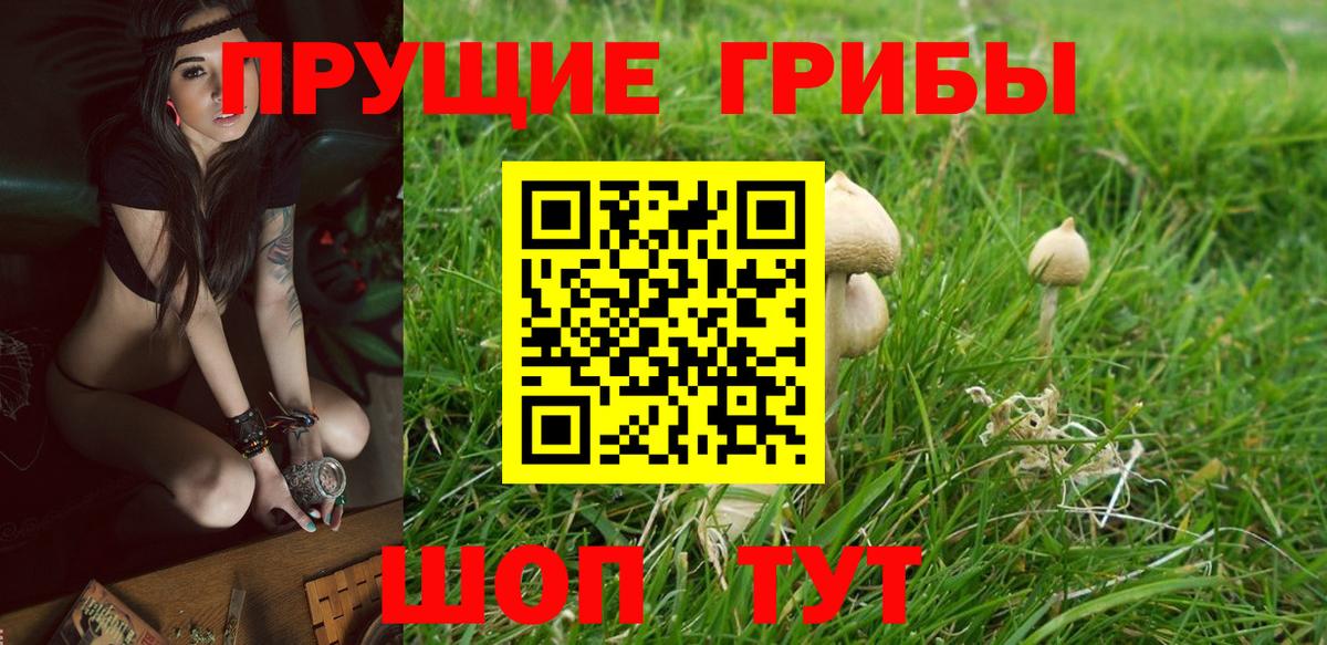 Галлюциногенные грибы мухоморы Лыткарино